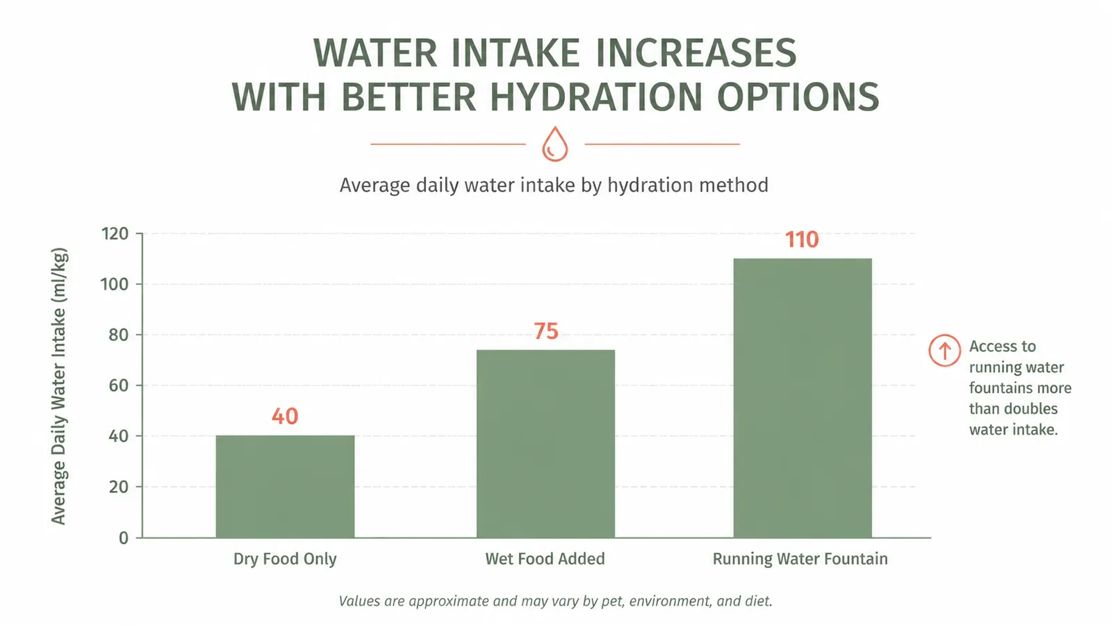 Comparison chart showing daily water intake in cats fed dry food versus wet food versus using a fountain