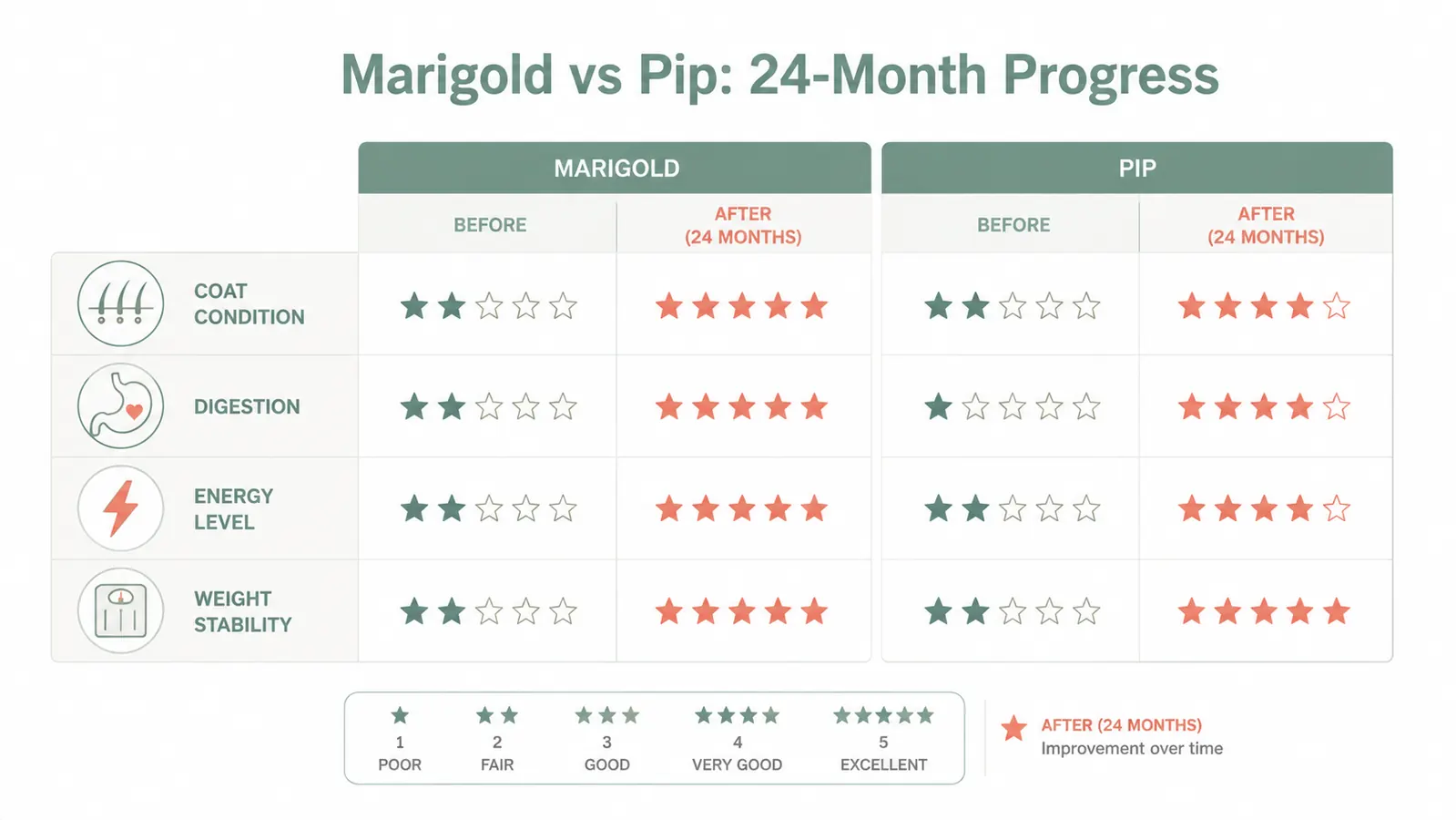 Chart comparing coat condition, digestion, and energy scores for two cats over 24 months on Purina Pro Plan